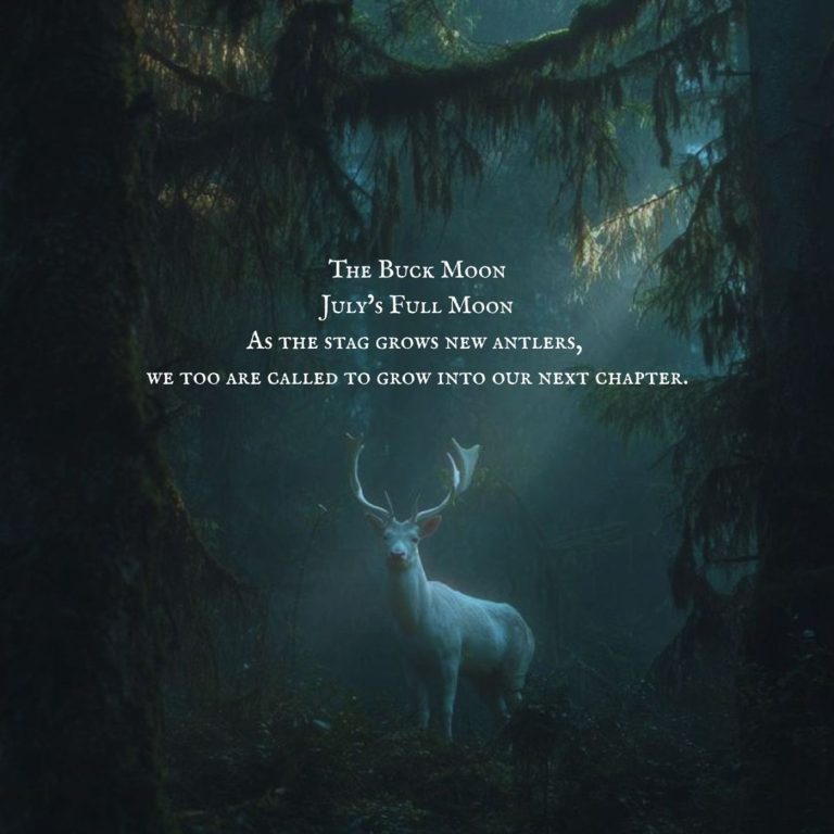 The Buck Moon